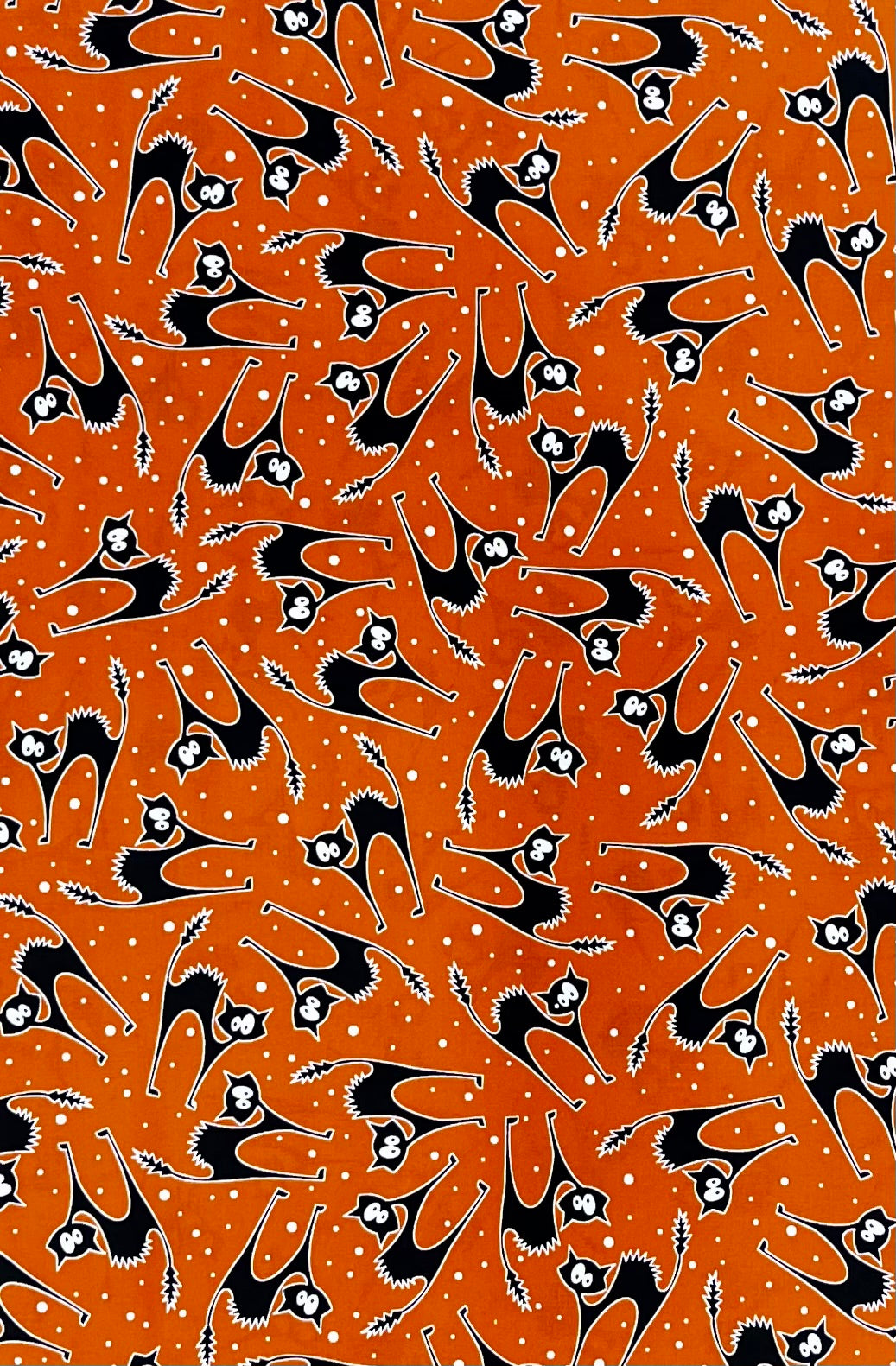 SCAREDY CAT ORANGE 12554-28