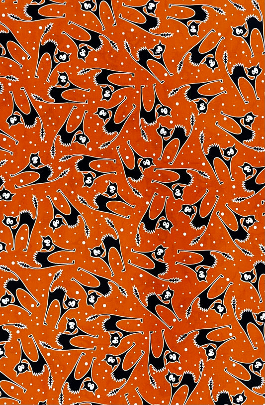 SCAREDY CAT ORANGE 12554-28