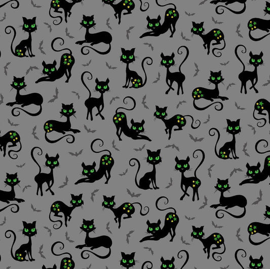 BLACK CAT CROSSING CX10331