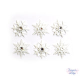 FANCY SNOWFLAKES