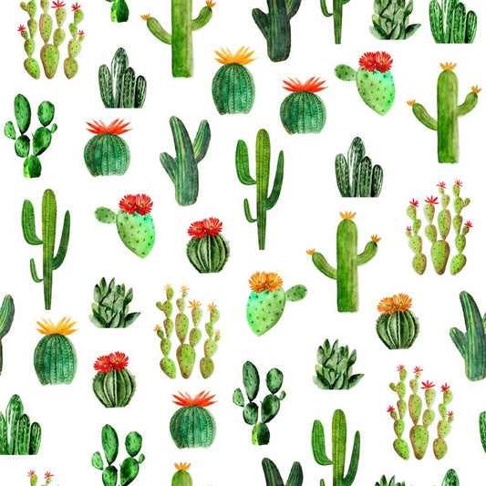 COWBOY UP 29848 CACTUS WHITE