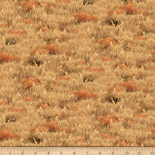 DEER VALLEY 1649-26894-AE Tan Grasses