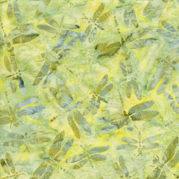 S181-DRAGONFLY