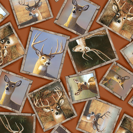 DEER VALLEY FRAMED DEER