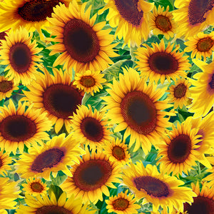 SONGBIRDS 27786-S SUNFLOWERS