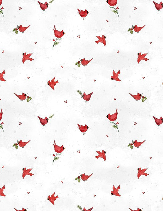 TINY CARDINALS 398685-137