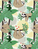SLOTHS HANGING ON BRANCHES FUN-CD8846 CREAM
