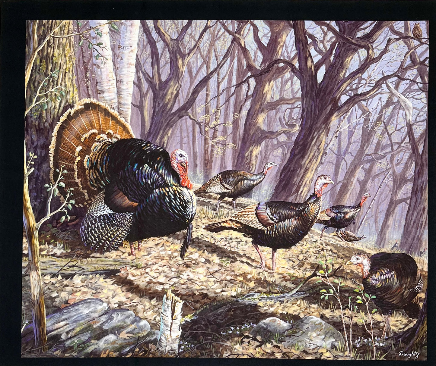 MINI PANEL TURKEY