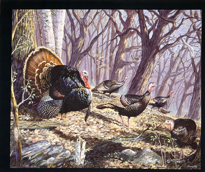 MINI PANEL TURKEY