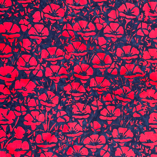 US06-2 RED/NAVY