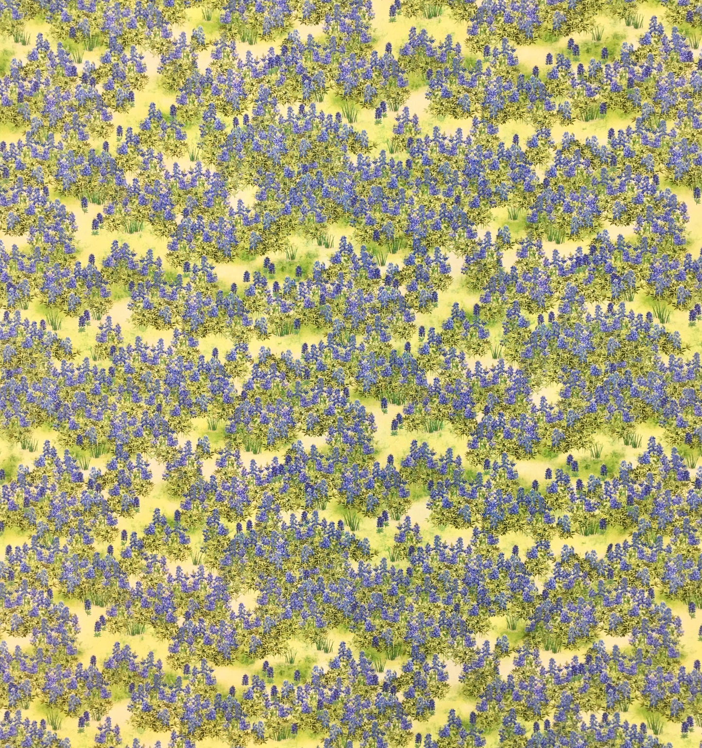TEXAS IN BLOOM 20172-276 BLUEBONNETS