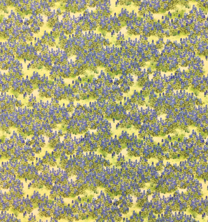 TEXAS IN BLOOM 20172-276 BLUEBONNETS