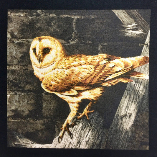 MAJESTC WOODS OWL 8585-K