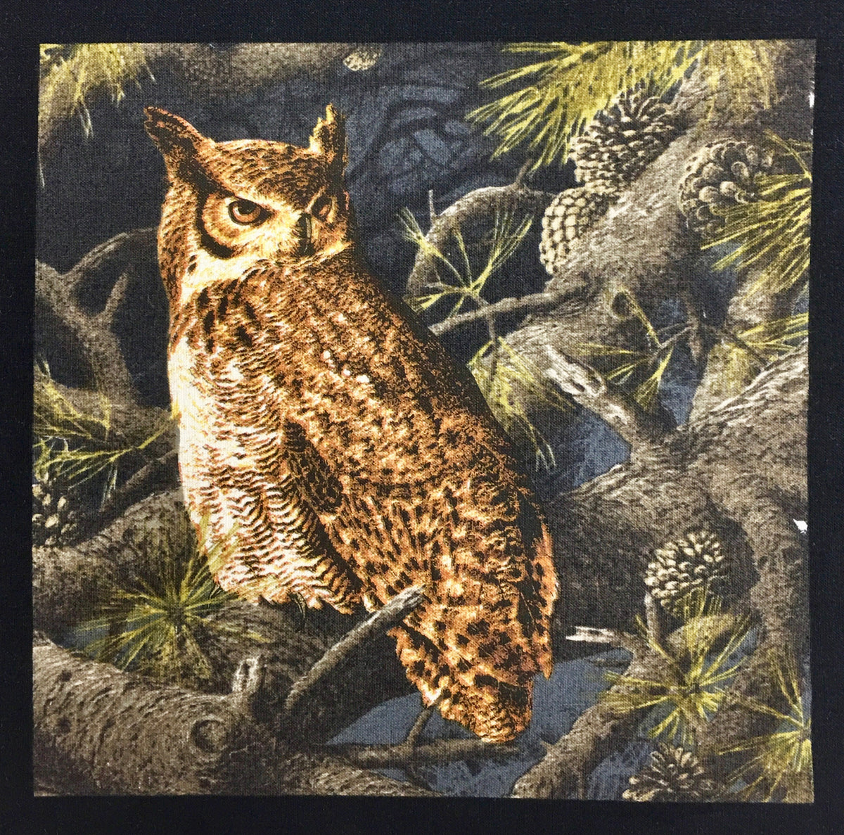 MAJESTC WOODS OWL 8585-K