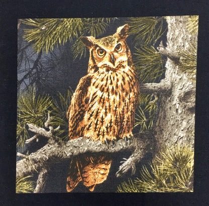 MAJESTC WOODS OWL 8585-K