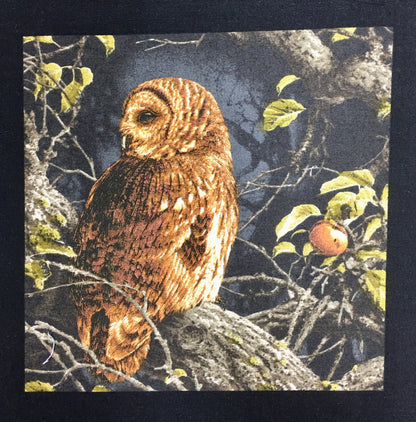MAJESTC WOODS OWL 8585-K