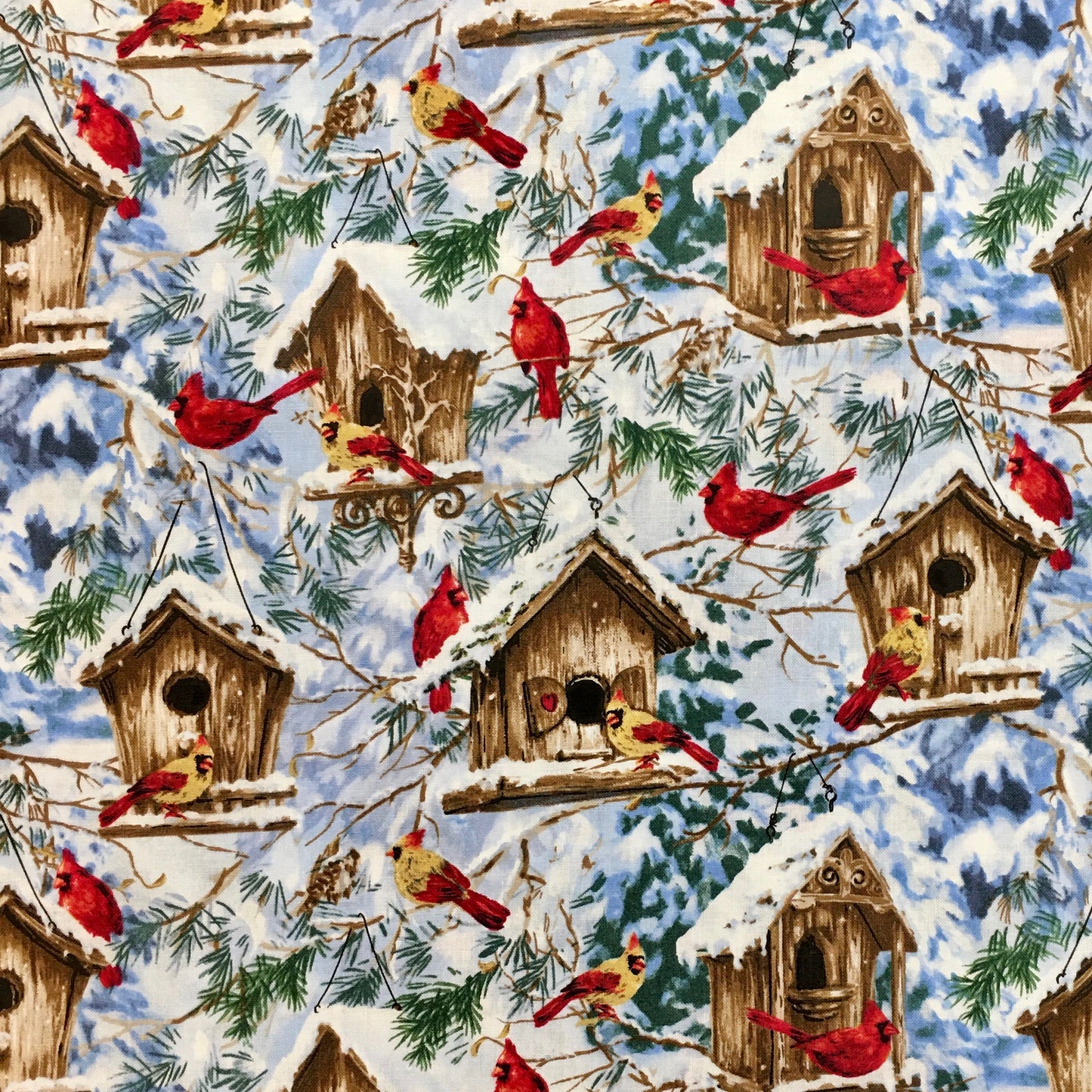 C5127 CARDINALS & BIRDHOUSES