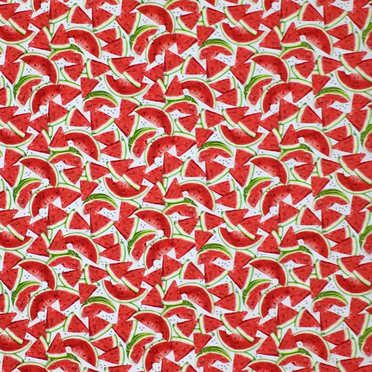 19794-377 WATERMELON