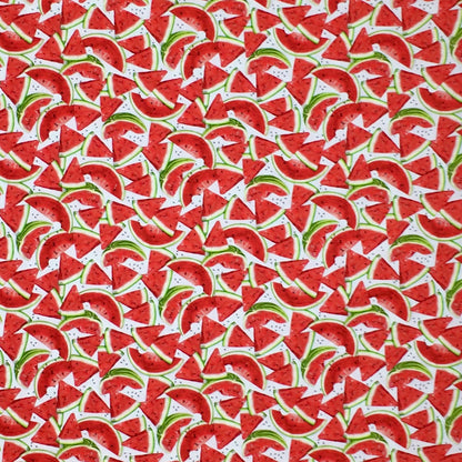 19794-377 WATERMELON