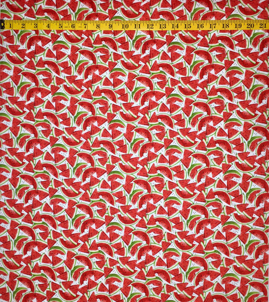 19794-377 WATERMELON