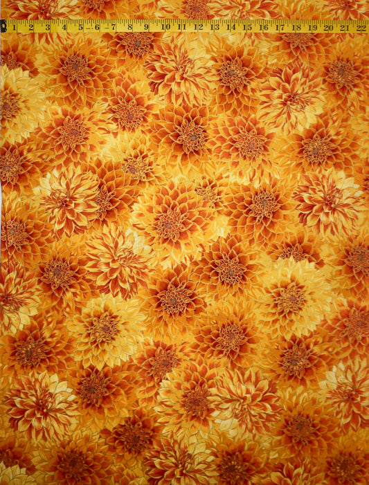 19854-209 SUNBURST