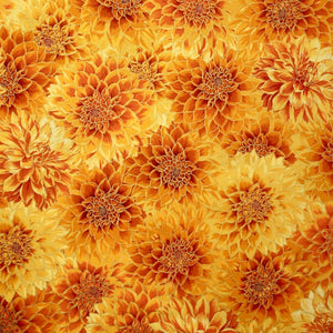 19854-209 SUNBURST