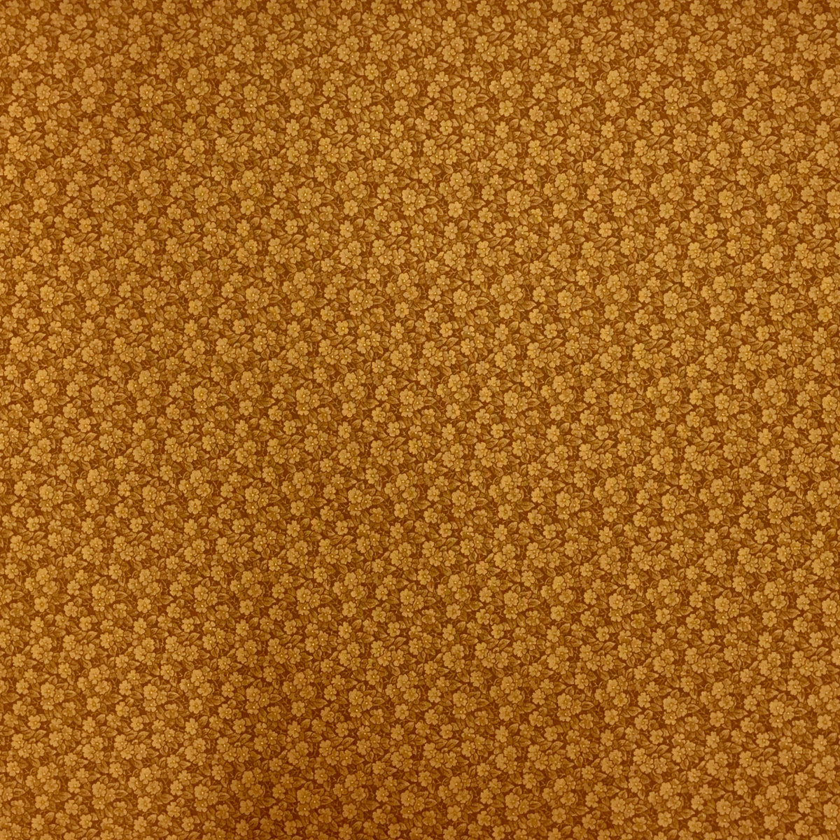 RJR - Shades Apart by Lynette Jensen 2011 #0806-4