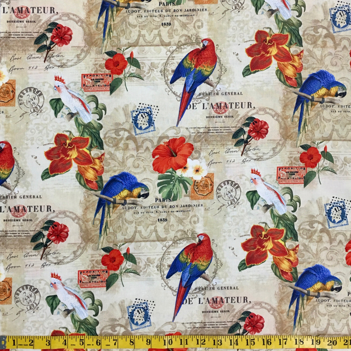 RAINFOREST 41935-X