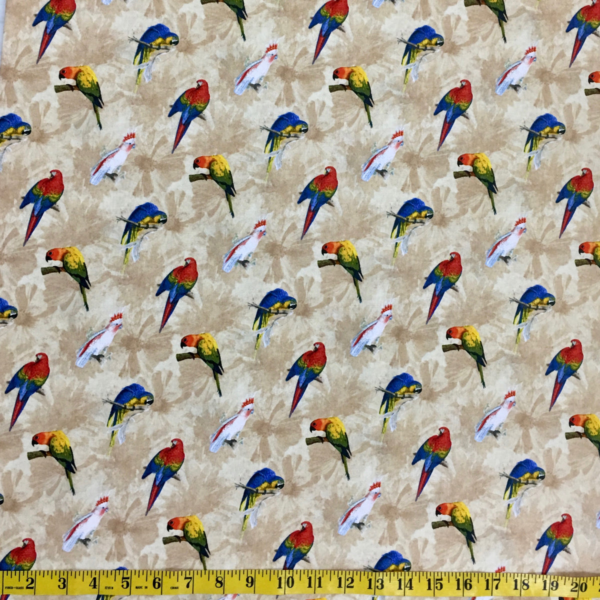 RAINFOREST 41937-1