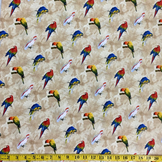 RAINFOREST 41937-1