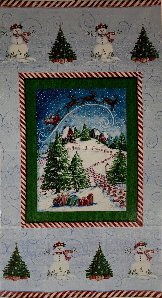 WINTER WONDERLAND 33757P