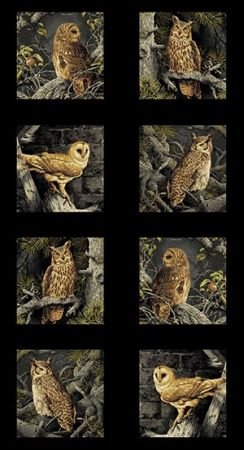 MAJESTC WOODS OWL 8585-K