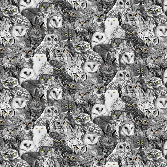 WICKED FOG C7883 BLACK OWLS