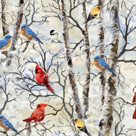 WINTER BIRDS C7593
