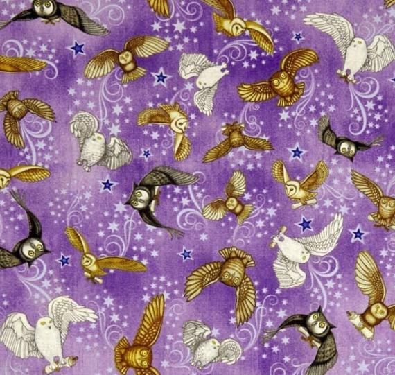 SPELLBOUND 26612-V OWLS AND STARS