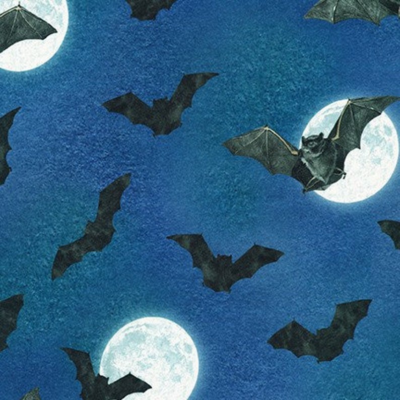 RAVEN MOON  19488-282 BATS N MOON