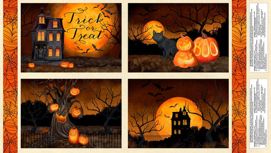 HAUNTED NIGHT PLACEMAT PANEL