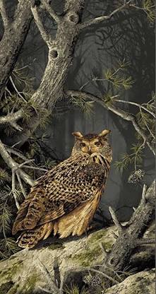 MAJESTC WOODS OWL 8584-K 8  PANEL