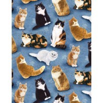 80154-491 FELINE FINE