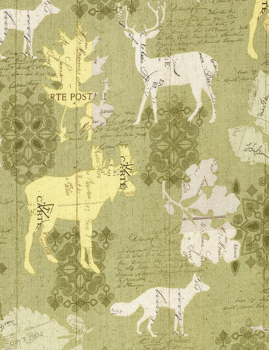 WILDERNESS C5257 SAGE